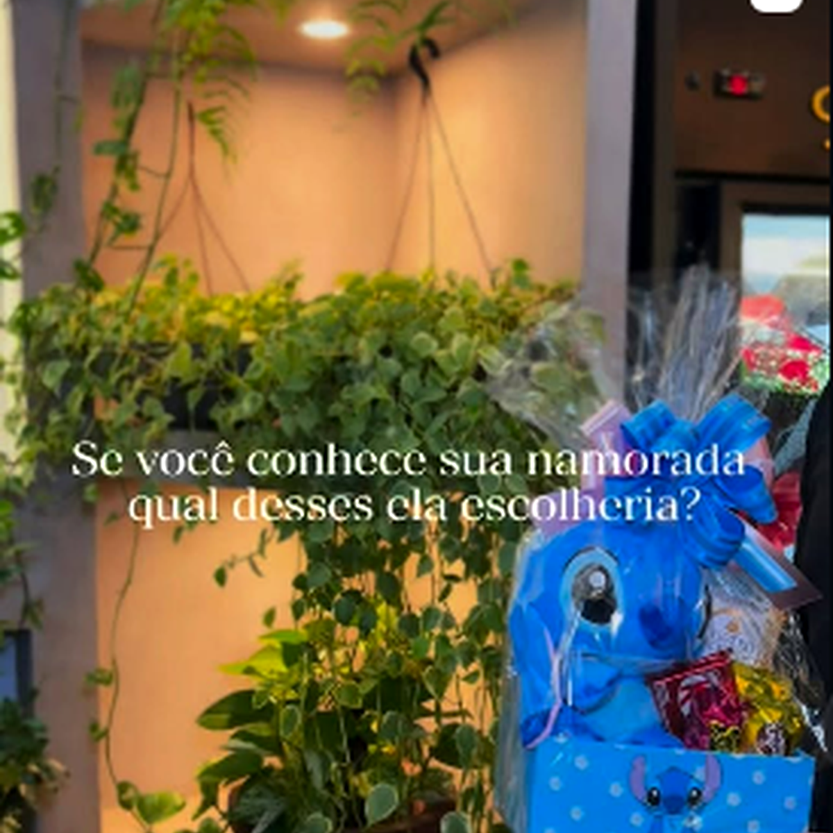 Presente Flora Nova Pampulha